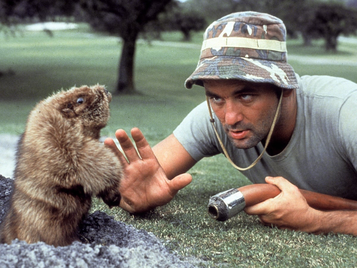 Bill Murray's brother Ed, who inspired Caddyshack, dies | Bill Murray | The Guardian