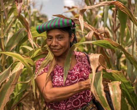 Thelma Cabrera standing in a crop field of cane