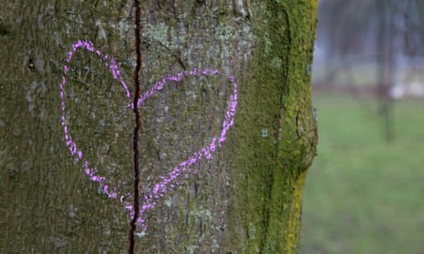 chalked heart drawn on a tree trunk