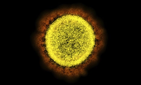 An electron microscope image made available by the National Institute of Allergy and Infectious Diseases in the US shows the Covid-19 virus. New variants are emerging as the virus constantly mutates.