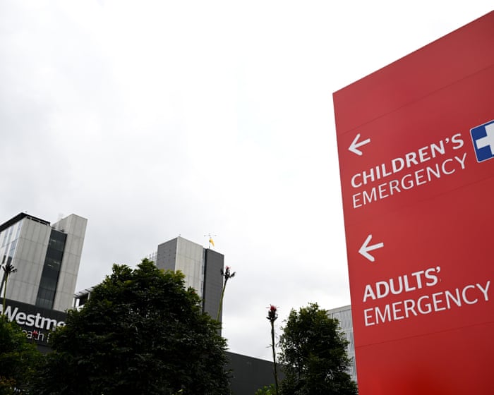 One child dead and two children and woman in critical condition after Blue Mountains stabbing