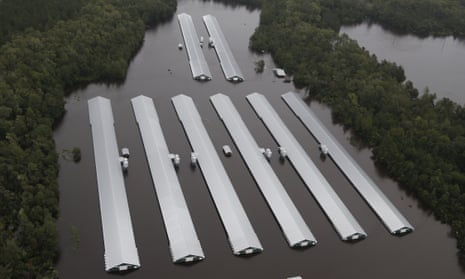 Chicken farm buildings are inundated with floodwater from Hurricane Florence near Trenton, North Carolina on Sunday
