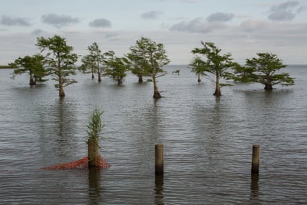 Lake Matamuskeet in Hyde County, North Carolina.
