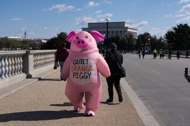 Washington DCA protestor in a Quiet Piggy costume.
