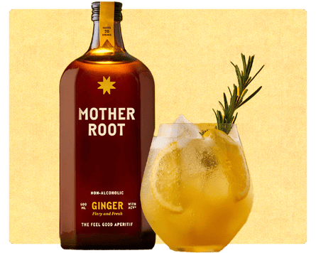 Mother Root switchel ginger