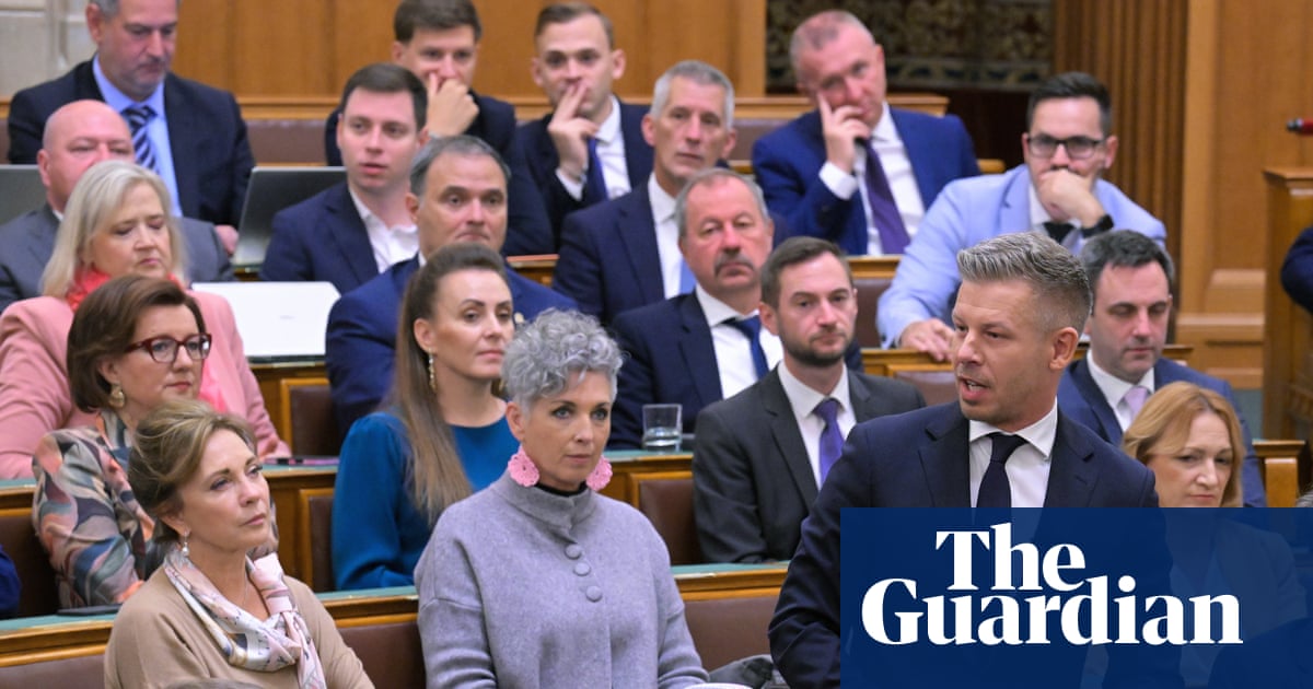 Two former Hungarian ministers detained over suspected bribery and misuse of public funds