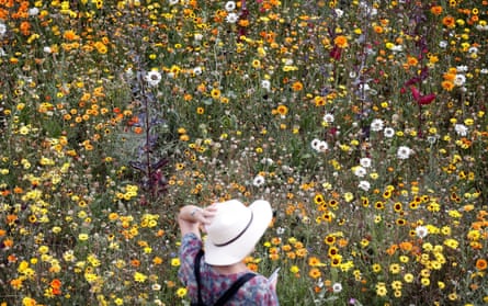 A visitor to Superbloom at the Tower of London, July 2022.