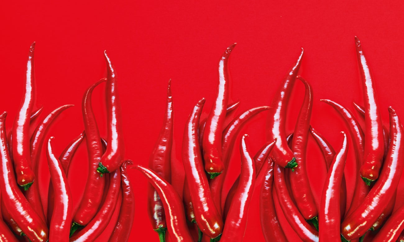 ‘Chilli lovers were more likely to be sensation seekers than people who avoided chillies’.