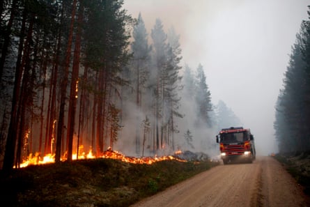 Sweden has been hit by more than 60 forest fires this month.