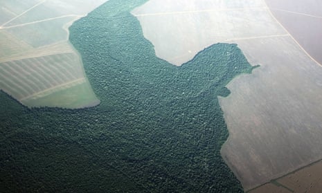 Amazon rainforest turned into farmland