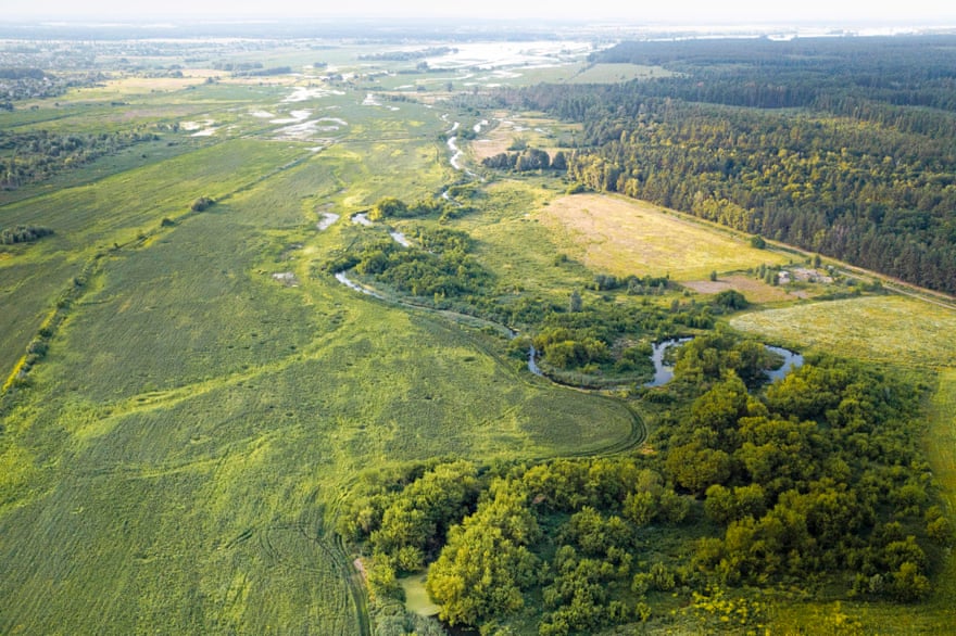 A section of the Irpin between the villages of Moschun and Rakivka, which ecologists see as a key area of wetland restoration.