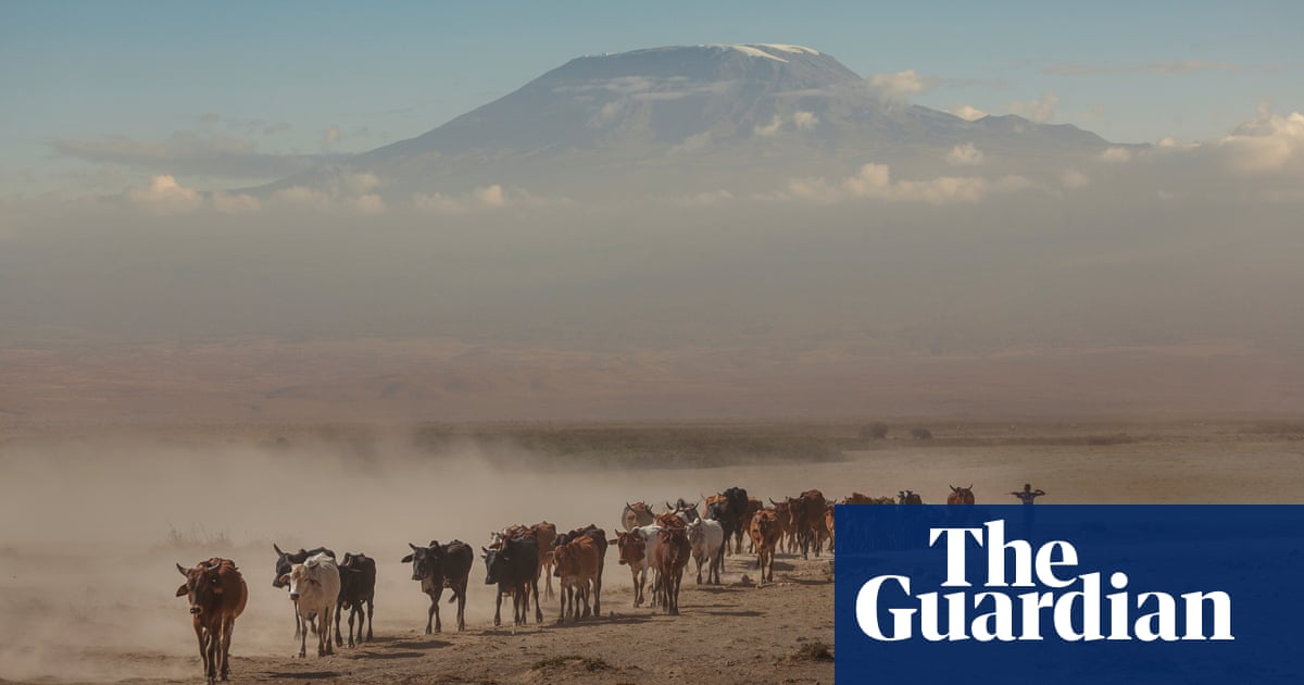 Firefighters tackle blaze on Tanzania’s Mount Kilimanjaro