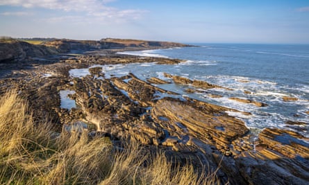 Cullernose Point is a good place to spot porpoises from.