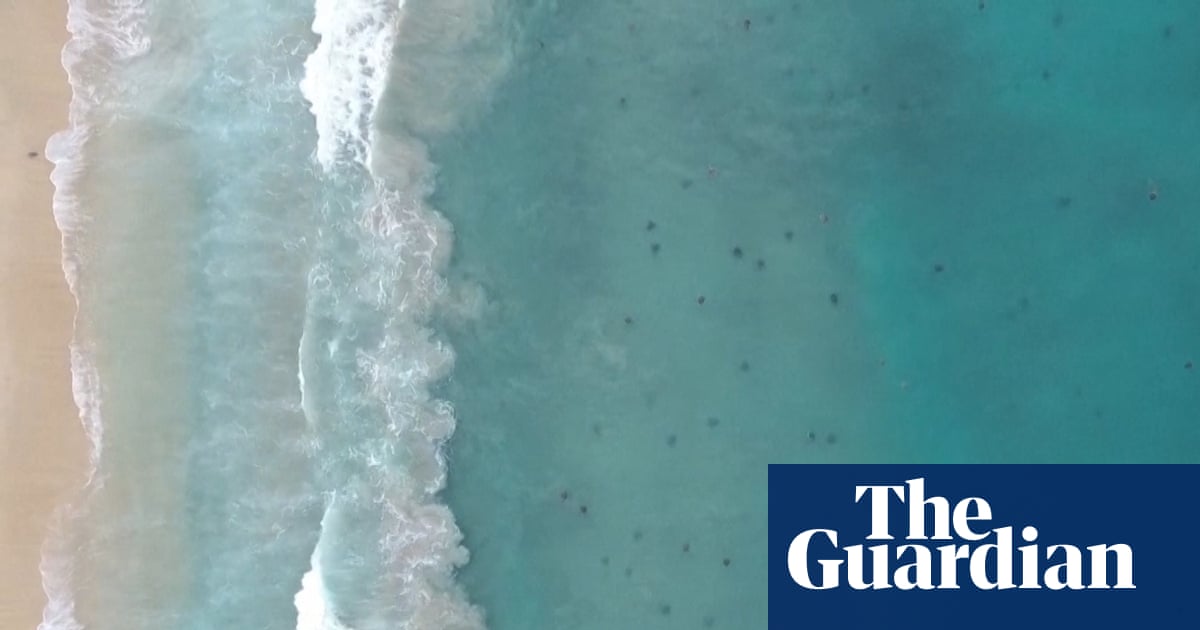 Thousands of sea turtles reach Mexico in yearly migration threatened by climate crisis – video - theguardian.com
