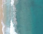 Thousands of sea turtles reach Mexico in yearly migration threatened by climate crisis – video
