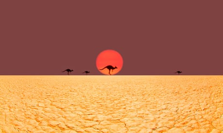 Kangaroos running in desert.<br>Four kangaroos running at sunrise in hot desert. Red centre of Australia.