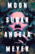 Cover of Moon Sugar by Angela Meyer
