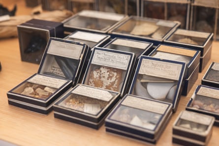 Specimens on show at the herbarium