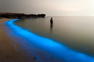 Shortlisted: Pooyan Shadpoor, Houcheraghi. While walking along the shore of Larak, Iran - an island in the Persian Gulf- Shadpoor came across this luminous scene. The “magical lights of [the] plankton ... enchanted me so that I snapped the shot,” he writes.