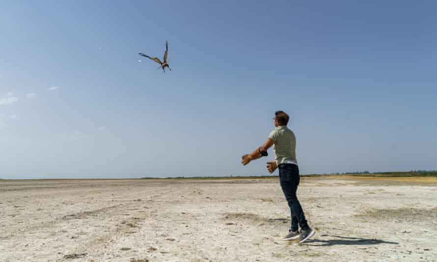 A rehabilitated long-legged buzzard is returned to the wild over Lake Van, Turkey