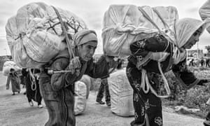 Fernando Del Berro: Cargo Women