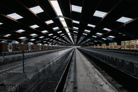 An empty mink farm.