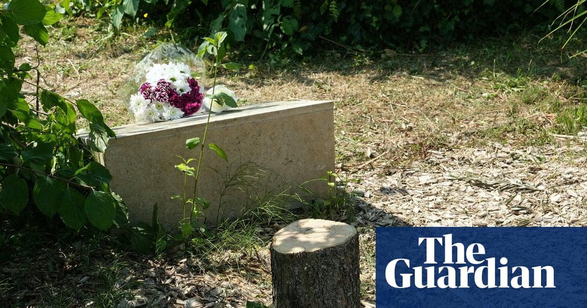 Emmanuel Macron decries antisemitic hatred' after memorial tree cut down