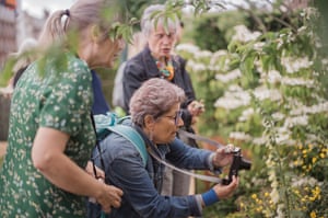 Three women take a photo of a plant