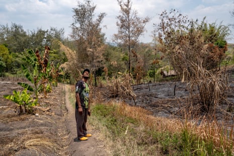 Laity, a farmer from Nagamito village in Eastern Highlands province, stands between burnt land and banana plants.