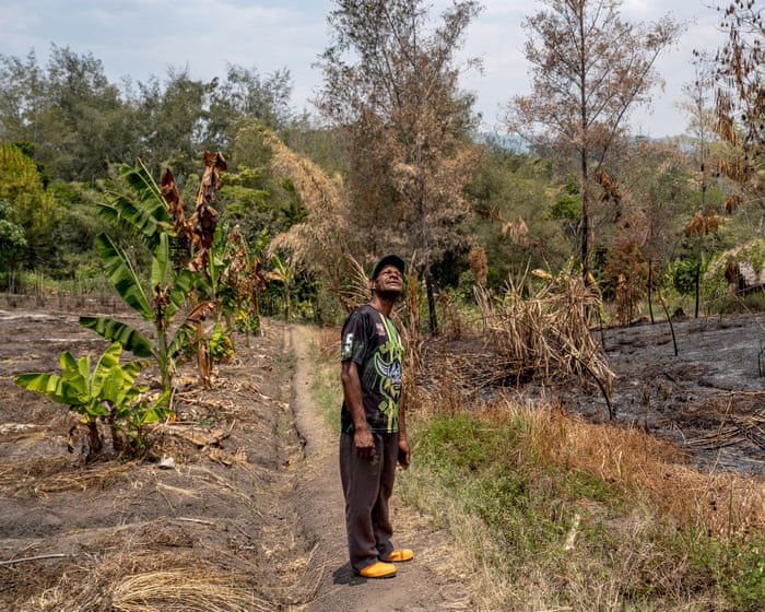El Niño-driven drought in Papua New Guinea a ‘national crisis’ as rivers dry up and local farms fail