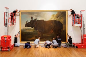 Amsterdam, the Netherlands. The Rijksmuseum installs the life-size painting Clara by Jean-Baptiste Oudry, 1749, ahead of its exhibition which charts the 18th century creature who became the most famous rhinoceros in the world