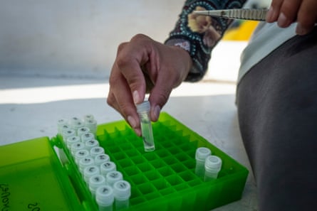 A hand putting a small test tube into a rack of similar samples