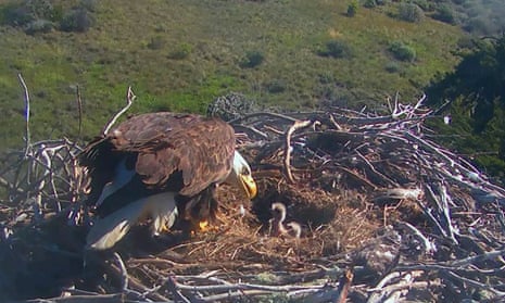 Crossword blog: the many pronunciations of 'garage' and ...