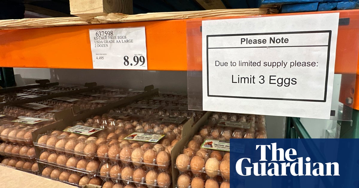 ‘Eggflation’ sending US shoppers to Mexico – where $300 fines await