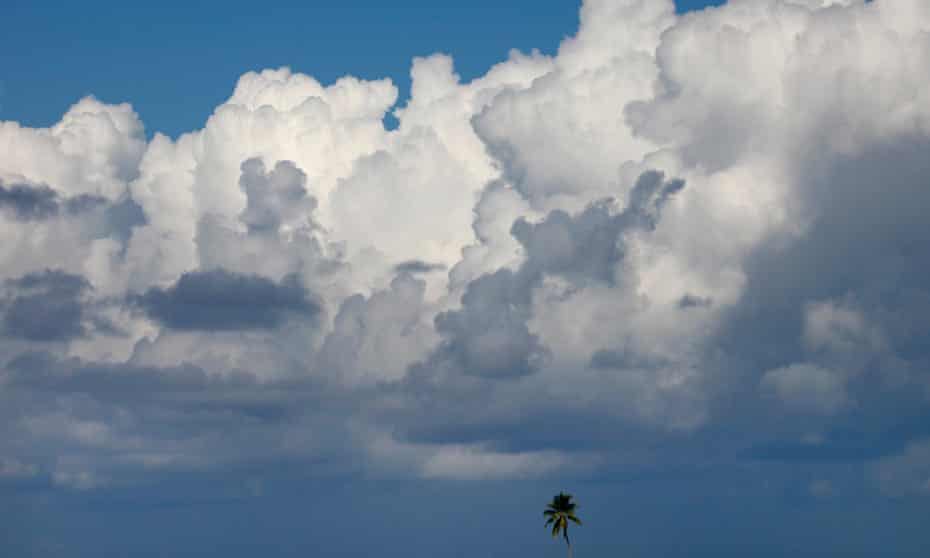Clouds move over a palm tree.