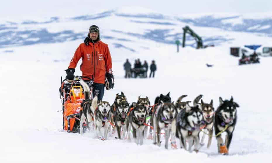 Alaska&#39;s Iditarod sled dog race shoves off with coronavirus-altered course | Iditarod | The Guardian