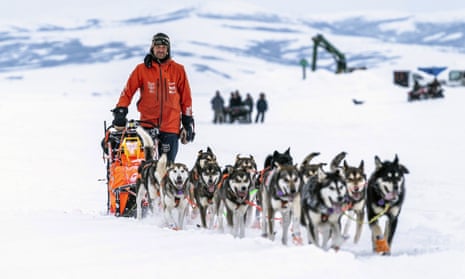 English-born musher leads Iditarod, world's most famous sled dog race, Iditarod