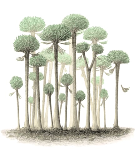 An artist’s impression of a fossil forest.
