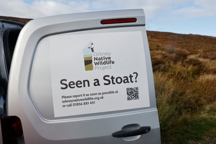 A door of a grey van with a message that reads ‘seen a stoat’?