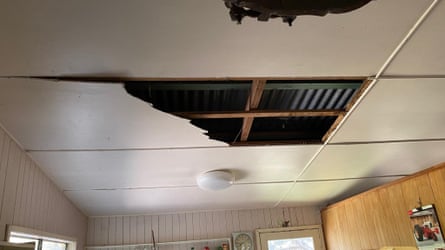 The two large coastal carpet pythons crashed through David Tait’s kitchen ceiling.