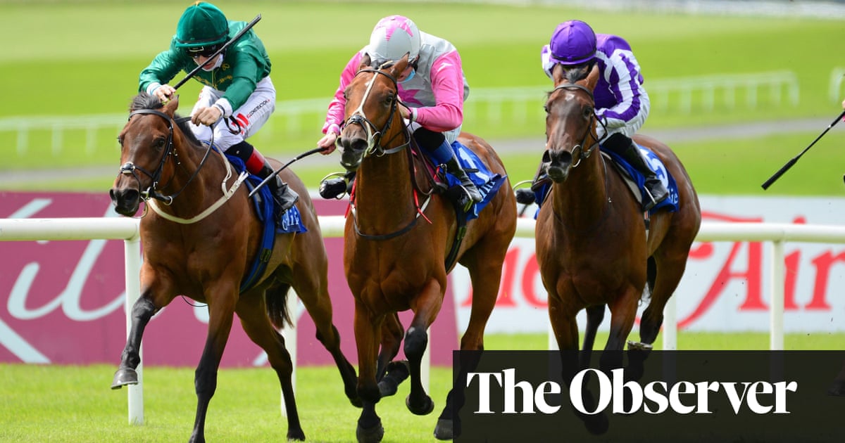 Talking Horses: Aloha Star could cause Phoenix Stakes upset at 16-1