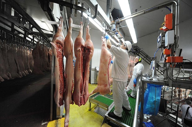 Workers Matty Scholtz, left, and Josephine Lewis weigh freshly slaughtered pigs on a line from the chiller to the boning room at Rivalea pork processing and packaging area in Corowa in 2010.