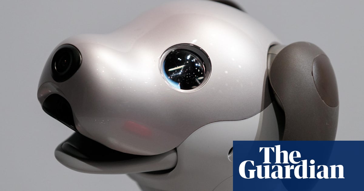 A dog’s inner life: what a robot pet taught me about consciousness