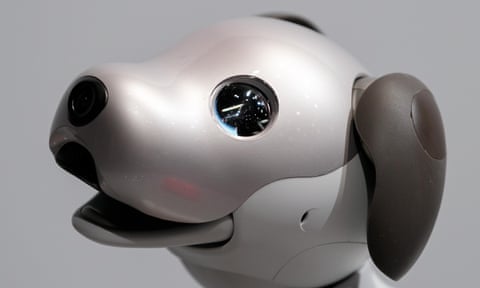 Sony’s robot dog, Aibo.