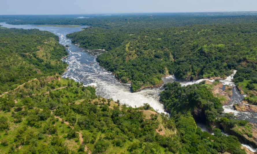 Les chutes de Murchison sur le Nil Victoria, au milieu des arbres du parc national. 