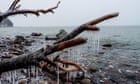 Tides by Sara Freeman review - an experimental study of grief