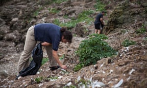 The National Trust is calling on businesses to consider how they dispose of materials that could cause harm to wildlife