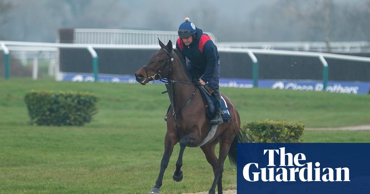 Brighterdaysahead Aims to Challenge Constitution Hill in Champion Hurdle