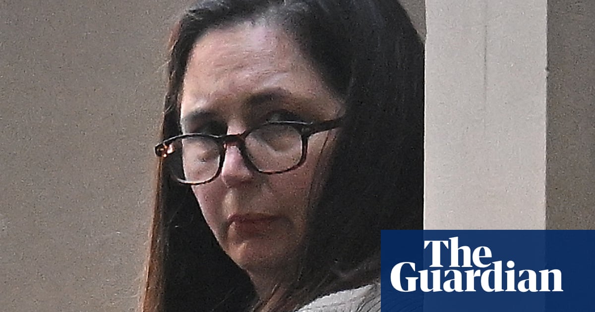 Erin Patterson explains health lies, food issues and how she made mushroom lunch as murder trial continues