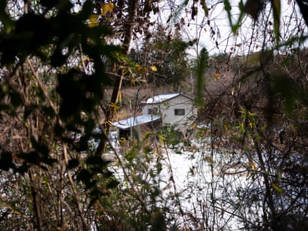 A house can be seen through undergrowth